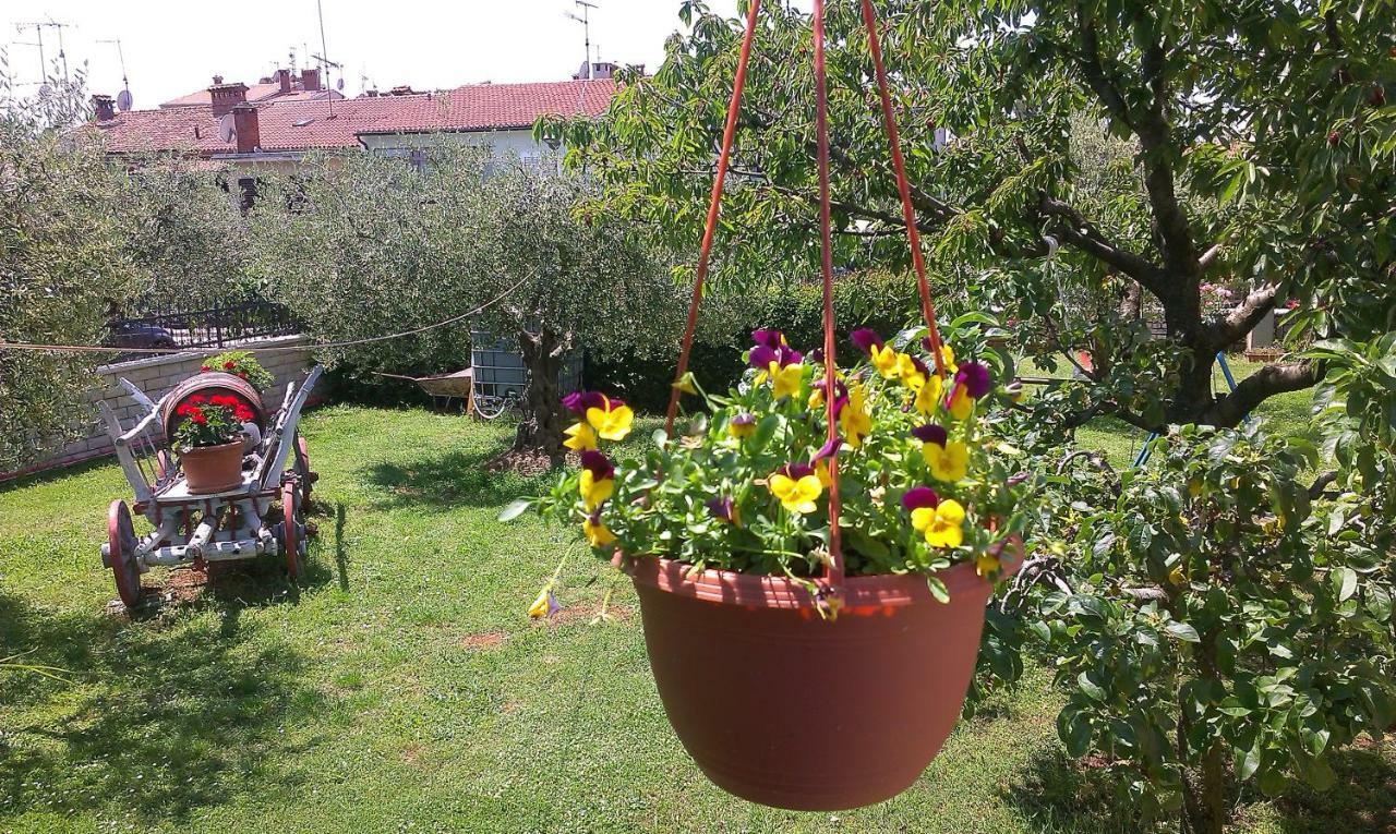 Studio Benassi Poreč Exterior foto